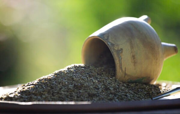 YERBA MATE PURA HOJA PACK X 6 3K - Image 5