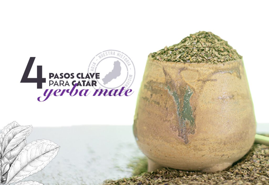 catar yerba mate
